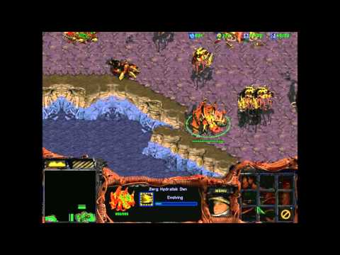 Starcraft 1: Ascension of Duran 05 - Betrayal