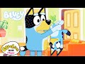 Dad Turns Into A ROBOT Bluey CBeebies