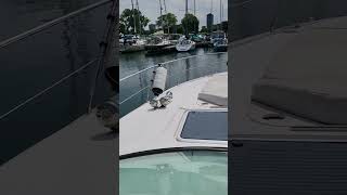 VIDEO oLf3T5VN4l4