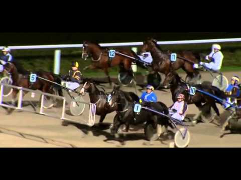 Stall Kaiser_Silence & Joachim Kaiser_Roscoft & Michael Voigt