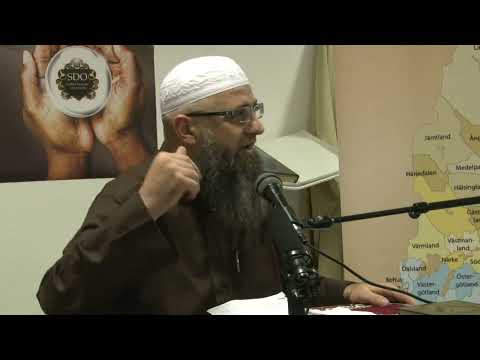 Mesh po čarapama - dr. Safet Kuduzović