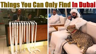 Download the video "Surprising (and Unbelievable) Things You Can Only Find in Dubai"