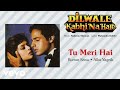 Tu Meri Hai Best Audio Song Dilwale Kabhi Na Hare Rahul Roy Kumar Sanu Alka Yagnik