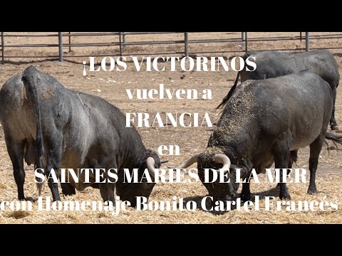 LOS VICTORINOS á LA FRANCE en SAINTES MARIES DE LA MER et Hommage Cartel Français