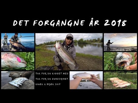 Det forgangne år 2018 af mit fiskeri