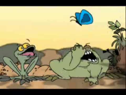 Frösche essen fliegen