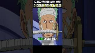 날 제자로 받아줘!! 미호크에게 마리를 숙이는 조로