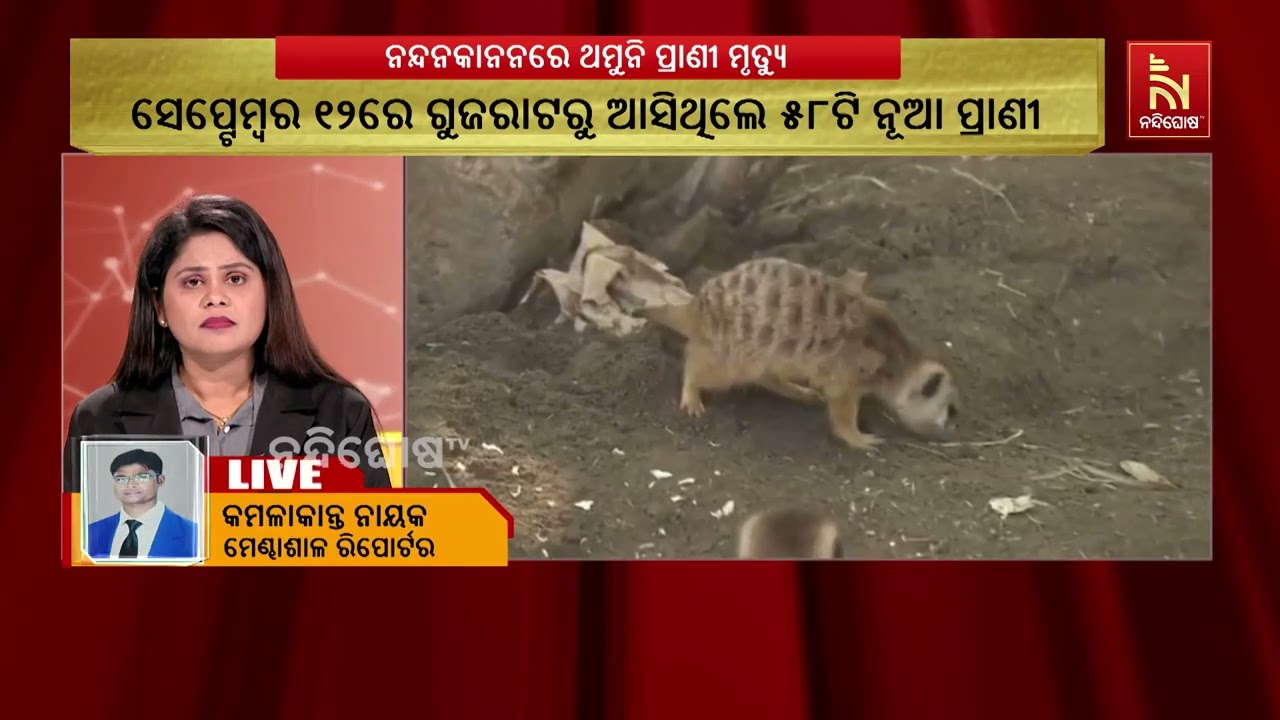 ନନ୍ଦନକାନନରେ ପୁଣି ମୃତ୍ୟୁ: କ୍ୱାରେଣ୍ଟାଇନ୍ ସମୟ ନସରୁଣୁ ପ?