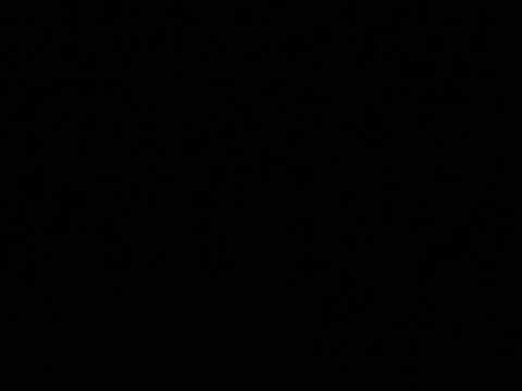 rally del carnevale 2013 ps 1