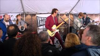 Chuck Prophet   Shake Some Action