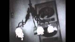 Lucky Man Music Video