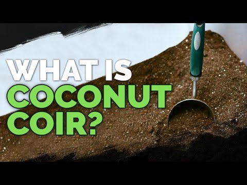 image-Can we use coconut husk for plants?
