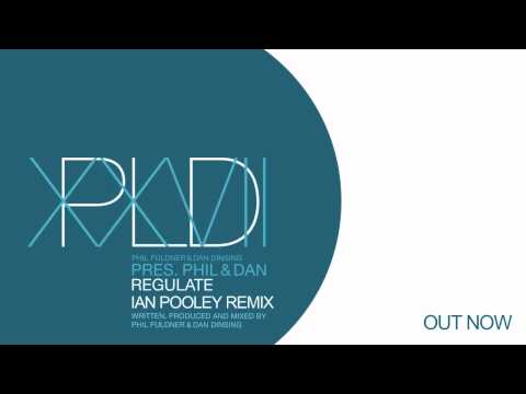 Phil & Dan - Regulate (Ian Pooley Remix)