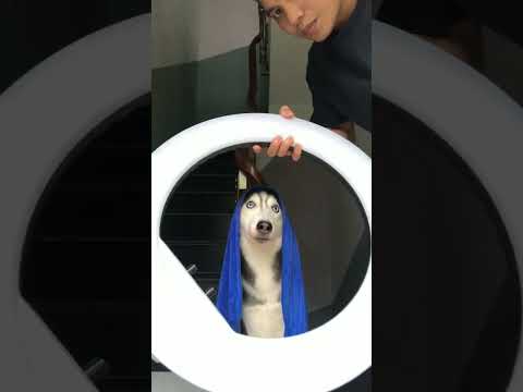 #مضحكة #كوميديا_مضحكة #لاتنسوا_الاشتراك_في_القناة_وتفعيل_الجرس #لايك_اشتراك #لطلب