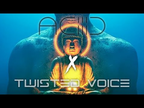 ACIIID x Twisted Voice - Moguai & Space Motion (RUDi2 Edit)