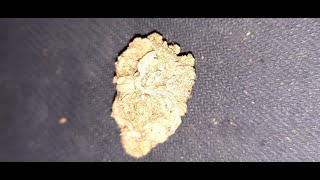 How does Surterra's 'Premium Indoor Flower' smoke Let's see in this Burnie MAC Flower REVIEW