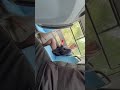 Bulge Flash
