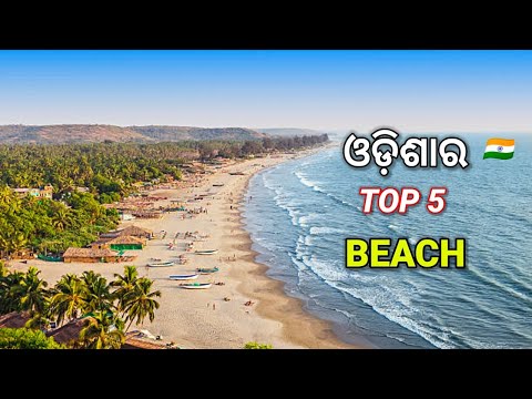 5 Best Beaches in Odisha | Top Five Beaches in Odisha | Beautiful Beaches in Odisha 🌴🏖️