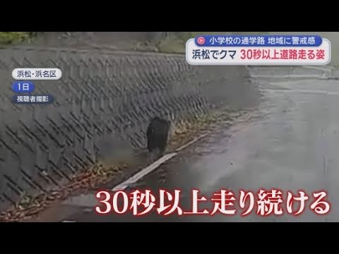 YouTube Video 通学路をクマが激走…児童は保護者が送迎　校長「子どもの命が最優先。肝に銘じて対応する」　浜松市　