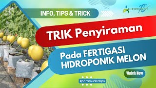 Download lagu Trik Penyiraman pada Fertigasi Hidroponik Melon #tanyaparamudita mp3