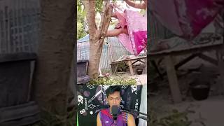 Download lagu meletus balon hijau dor🤣 mp3