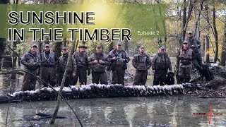 11 LIMITS OF MALLARDS BY 7:30 || ARKANSAS GREEN TIMBER BEATDOWN ||