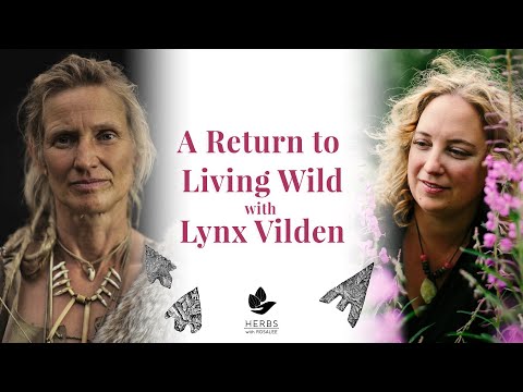 A Return to Living Wild with Lynx Vilden