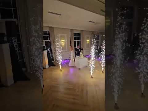 #dj #akordeon #djnawesele #saksofon #wesele2025 #tort #impreza #vixa #iskry #show