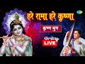 LIVE हरे कृष्णा हरे रामा श्री कृष्णा धुन H