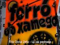Trio Dona Zefa - Lá vai pedrada 