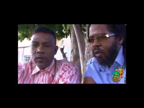 Junior Cat Intreview Irish & Chin