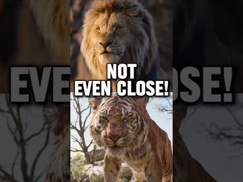 Why Mufasa VS Shere Khan ISN’T EVEN CLOSE!  #lion #tiger #lionking #disney #junglebook #vs #battle