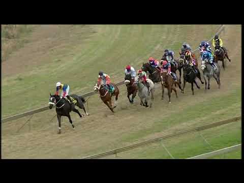 202008016 Hollywoodbets Scottsville express clip Race 8 won by RISE