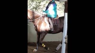 Adult Riding Lesson