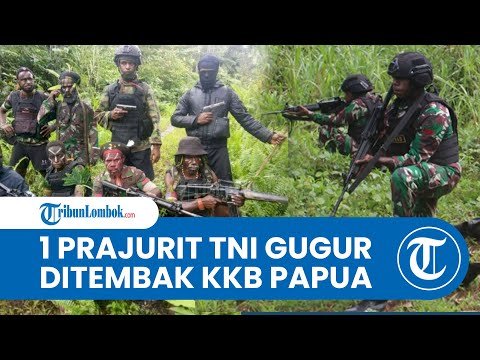 BREAKING NEWS: 1 Prajurit TNI Tewas Ditembak KKB di Kabupaten Puncak Papua Tengah