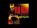 Flo Rida Ft. Sia - Wild Ones (Maison & Dragen ...