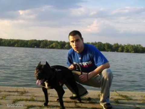 Ajzea feat Day Who - Kumovi nemaju nista