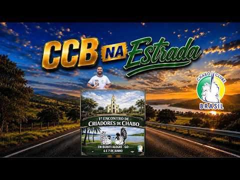 #01 CCB NA ESTRADA | BURITI ALEGRE - GOIÁS