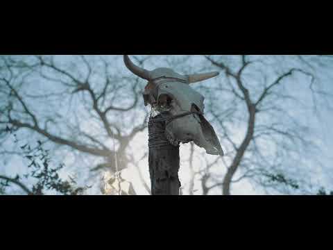 Insvrgence - Fever Dream