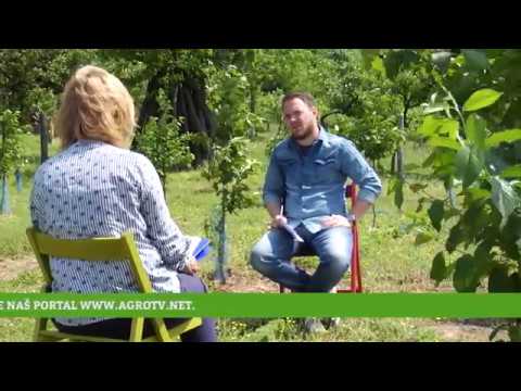Reč struke ep. 176 17.05.2018. - Podsticaji, višegodišnji zasadi, voćarstvo