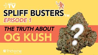 The Truth About OG Kush – What is Kush? | Spliff Busters EP 1