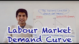 Labour Demand Curve (Market and Firm)