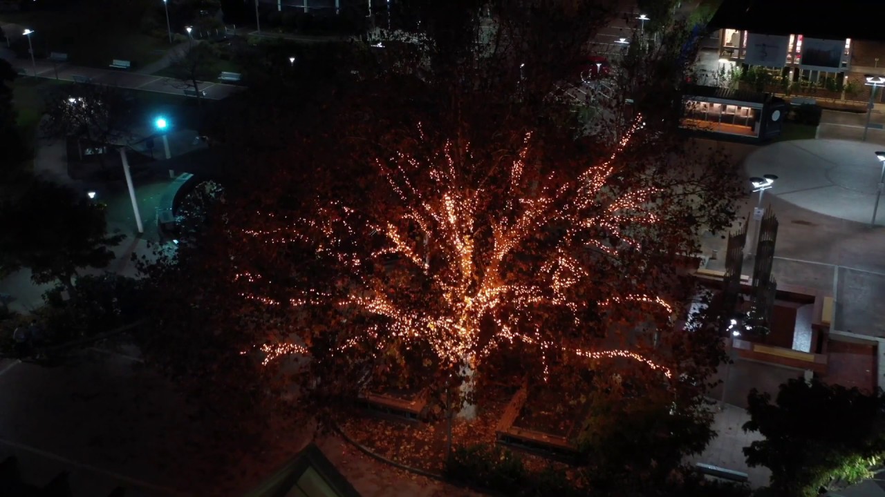 Glow Worm Lighting Commercial Grade Fairy Lights, Festoon Lights