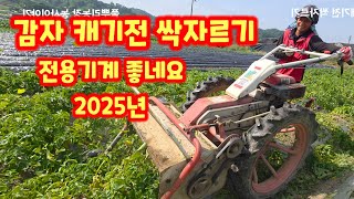감자 캐기전 싹자르기 전용 기계로 청정괴산 자연울림 충북 괴산 풀뿌리농장 (감자재배방법)