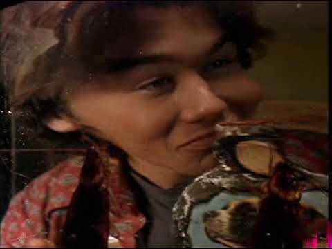 Joe's Apartment - 1996 - New Apartment