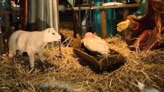 The Black Keys - I'm Not the One (Leftovers 01x04)