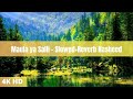 Maula Ya Salli Muza Slowed Reverb Arabic Nasheed Beautiful Nature With Islamic Relaxing Music
