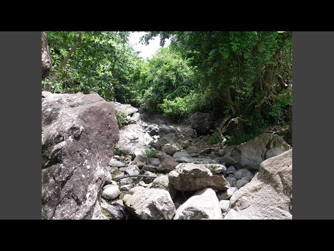 The Egyptian Night Ballet Suite, Op. 50