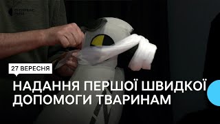 Майстер-клас з надання першої допомоги тваринам від австралійських кінологів