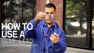 How to use a Slip Lead- with Steve from Pack Leader Dogs